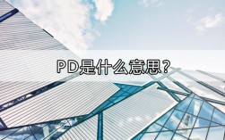 PD是什么意思？pd项目工程