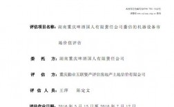 价值分析报告和评估报告的区别？产品进行项目评估