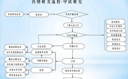 药品研发与生产流程？仿制药项目流程