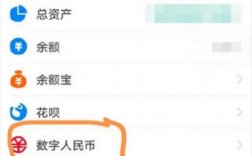 我的支付宝怎么不显示数字货币？虚拟币钱包无法确认