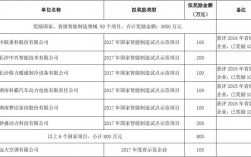 公司一般项目奖金是多少？项目公司收入