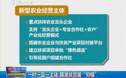 集体产业有哪些项目？国内产业扶贫项目