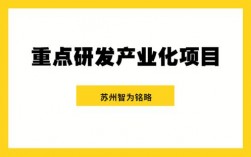 产业类项目是什么意思？研发项目产业化