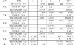 计算BT项目的回报率，判断投资的可行性？bt项目怎么核算