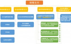 一般转移支付和专项转移支付？中央转移支付项目