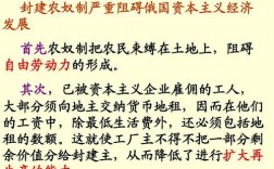 废除了农奴制,加快了俄国资本主义发展的步伐,使俄国走上资本主义道路的改革是？俄罗斯公路项目