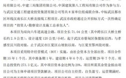 项目公司指的是什么？以下简称项目公司