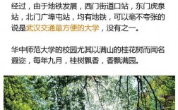 华中师范大学会不会来青山？武汉 关于 项目落地