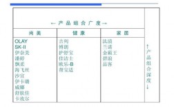 产品组合的概念举例？项目组合并