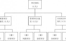 审计项目组的构成？项目审计人员组成