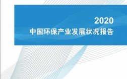 2020年底中国与多少个国家签署生态环境保护文件？环保项目的合同