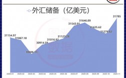 国家外汇储备是什么意思？远期储备项目