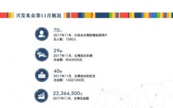 众筹项目可以多个网站发起众筹吗？2017众筹项目