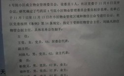 物业委员会是由业主选举还是上级委派。？项目选举方法