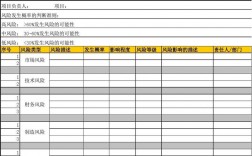 应对财务报表层次风险的策略是？项目执行评估报表