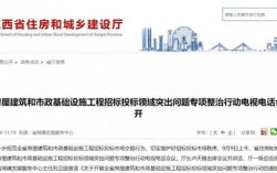 工程项目施工中发现中标人挂靠投标如何处理？项目公司过户