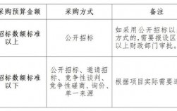 政府采购类项目达到多少资金才算是公开招标的金额，又在多少金额可以申请竞争性磋商？政府购买服务项目融资