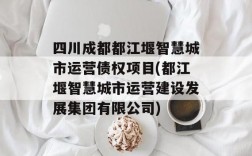 四川绿国创是做什么业务的？成都 PPP项目公司