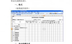 项目总投入和资金用途怎么写？项目已投入资金