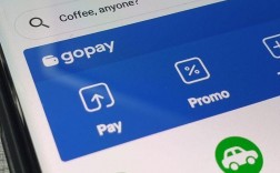 gopay是什么？支持货币生态的钱包