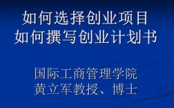 企业概况选择创业项目的理由？创业项目是企业