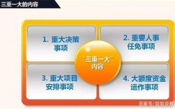 三重一大采购项目是指什么内容？期权项目