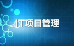 it实施是什么？IT项目计价