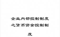 货币资金的内部控制有？项目资金内部控制