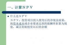 NPV什么意思？项目的npv