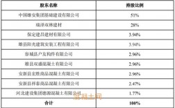 股东实力如何描述？项目公司 股东实力