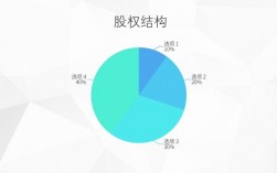 什么是项目股份？股权项目讲解