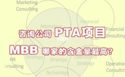 什么是PTA项目？pta项目网