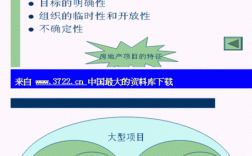 ptp工程项目是什么意思？ptp项目