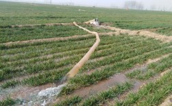 铺设水管占了庄稼地如何赔偿？陵城区供热项目