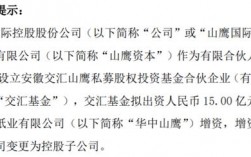 山鹰国际集团旗下有多少公司？山鹰资本 投资的项目