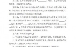 企业投资活动的资金来源主要有？项目来源合作型式