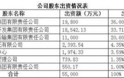 股东100%出资代表什么？项目单独股份