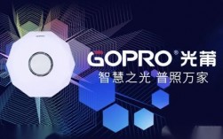 gopro是国产吗？厦门光蒲项目