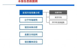 效应本体法什么意思？项目本体分析报告