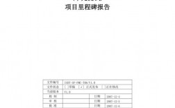 里程碑评估报告包含哪些项目？项目评估报告公司