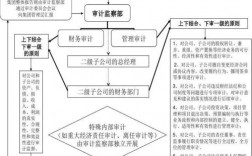 什么是内部审计模式？审计项目总体架构