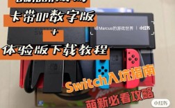 switch ns 怎么下载卡？(n卡下载教程)