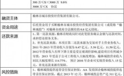 公司融资的资金最后要不要归还？项目融资资金计划