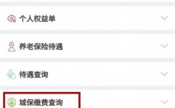 查询不到养老保险金额？养老项目金额