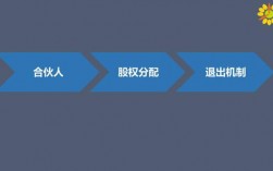 公司开展新项目，应该如何分配股权或者收入？公司新项目持股