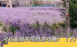 河北金融学院有共享单车吗？共享金融项目