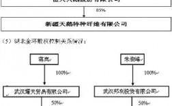 郑州恒天公司有上市公司吗？恒天天鹅项目