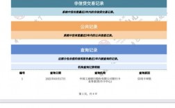 维信金科逾期几天上征信？项目贷款逾期报告