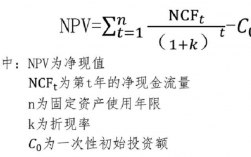 永续期企业价值计算公式项目永续期