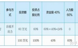 公司开展新项目，应该如何分配股权或者收入？股权项目分类标准